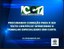 cct_karla.jpg