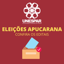 ELEIÇÕES APUCARANA.png