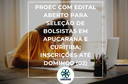 BOLSAS.png
