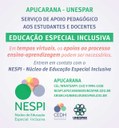 nespi apucarana.jpg