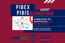 PIBEX.png