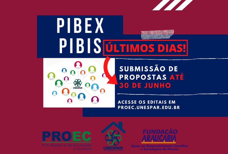 PIBEX.png
