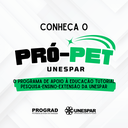 Unespar abre seleção para programa PRÓ-PET