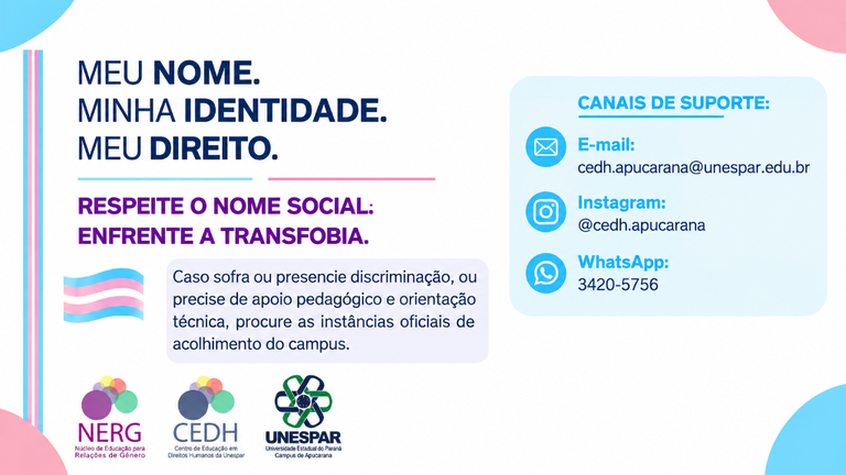 IMAGEM 7.png