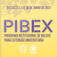 Pibex